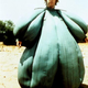 Image for article titled 10 Movies That Would Make Awesome SF Novels